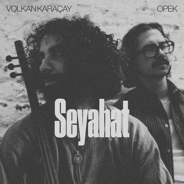 Seyahat cover