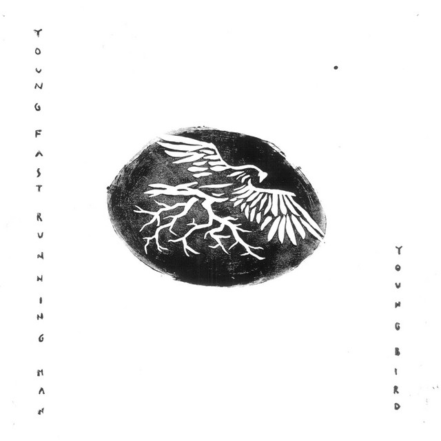 Young Bird cover