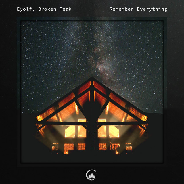 Remember Everything cover art