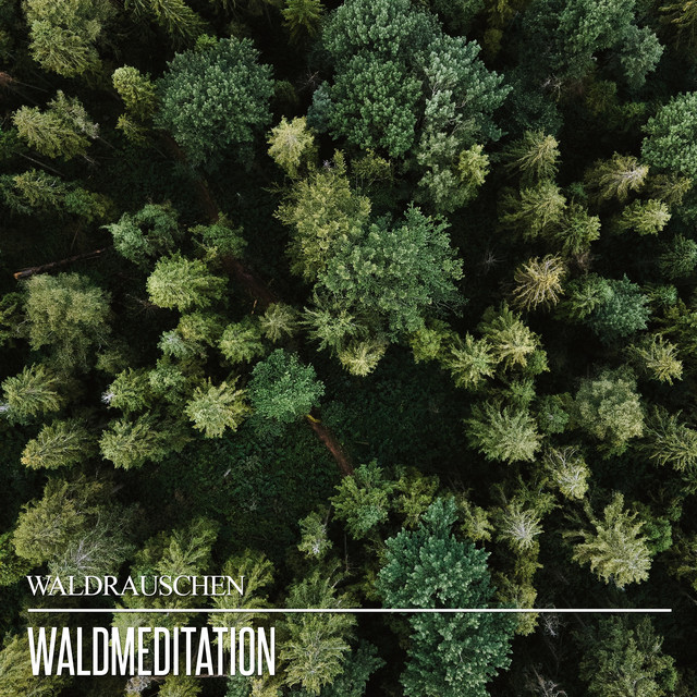 Waldmeditation cover art