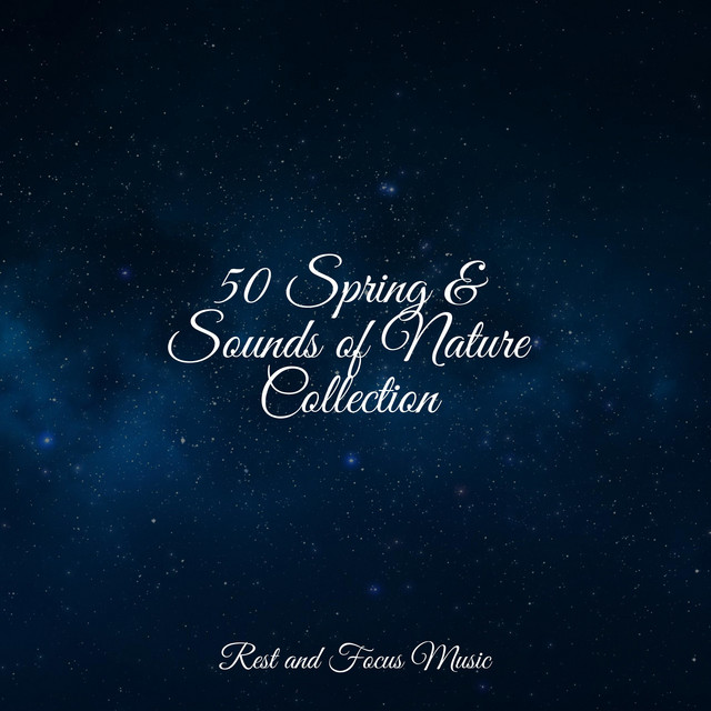 50 Spring & Sounds of Nature Collection - Album by Musica Para Dormir y ...