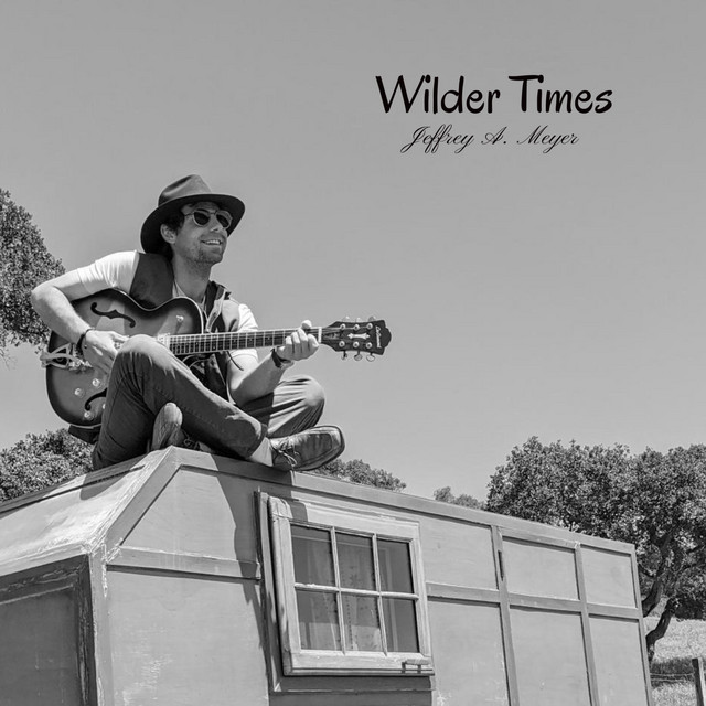Wilder Times cover art