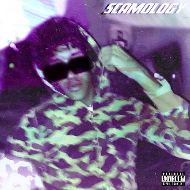 Scamology cover art