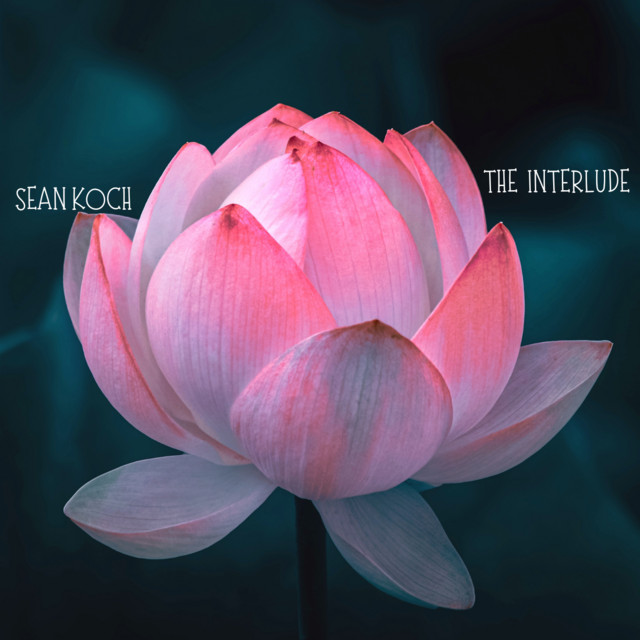 the interlude cover