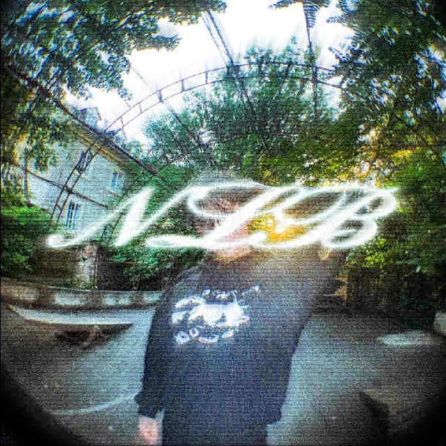 NLB cover art
