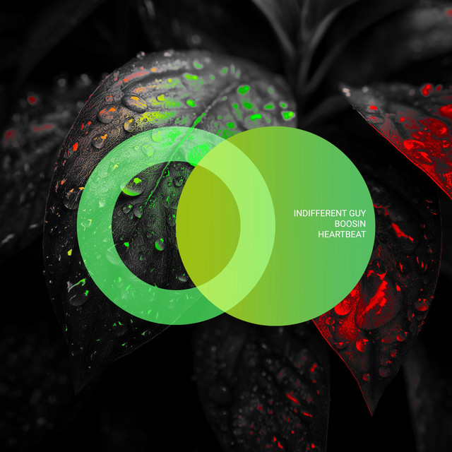 Обкладинка: Heartbeat — Indifferent Guy