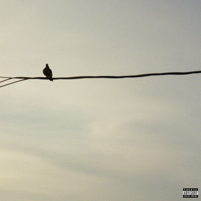 green lights album image