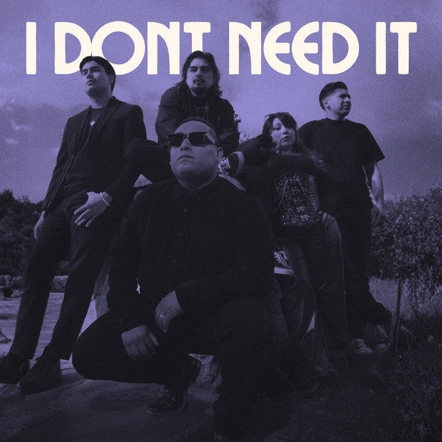 I Don't Need It by Ear Ringers