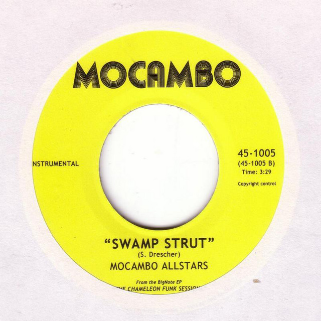 Swamp Strut cover
