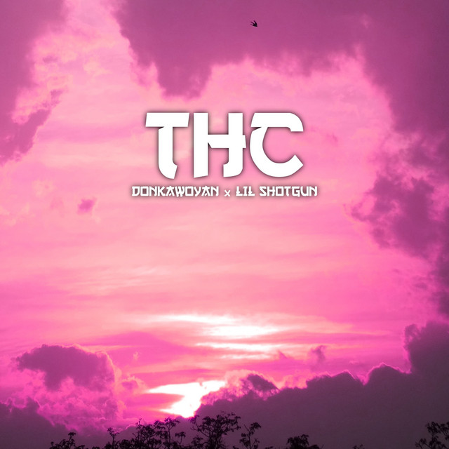 THC - Single by donKaWoyan | Spotify