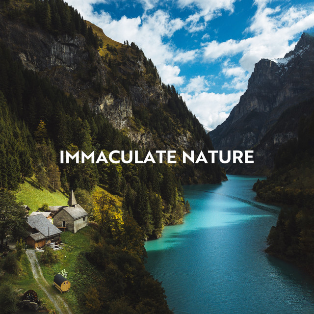 Immaculate Nature: Beautiful Sound Effects from the Natural Environment cover art