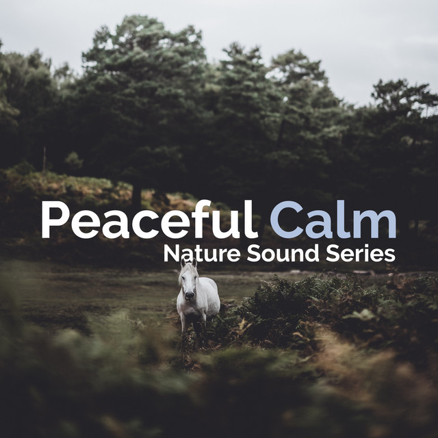 Peaceful Calm - Album by Nature Sound Series | Spotify
