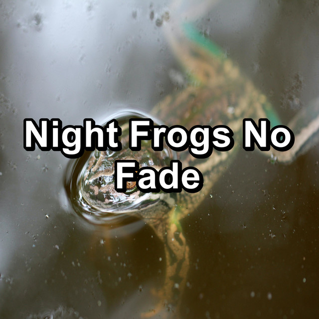 Night Frogs No Fade cover art