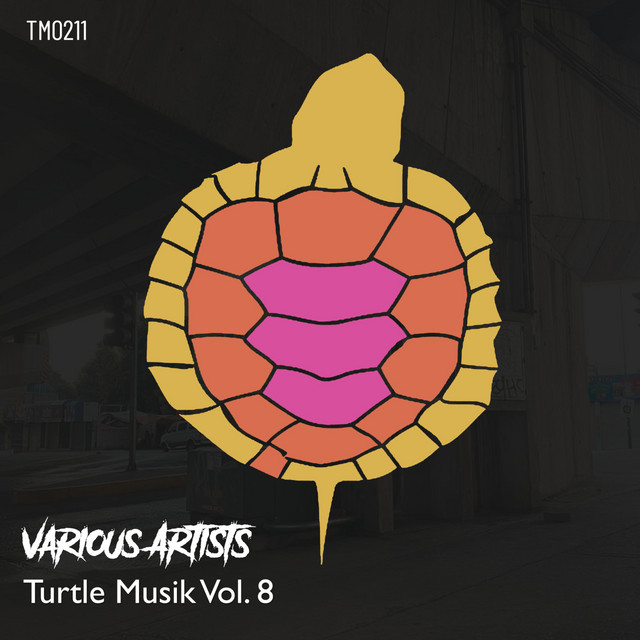 Turtle Musik Vol. 8 - Compilation by Various Artists | Spotify