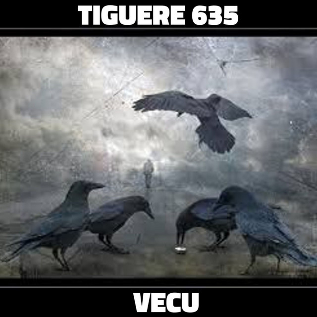 Tiguere 635 - Vecu