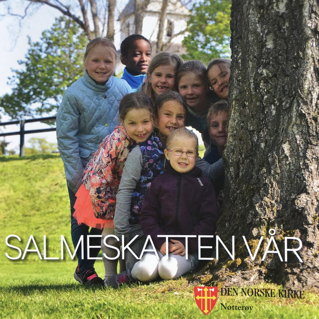 Salmeskatten vår cover art