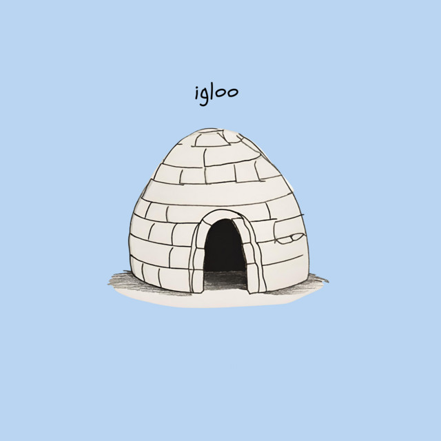 igloo cover art