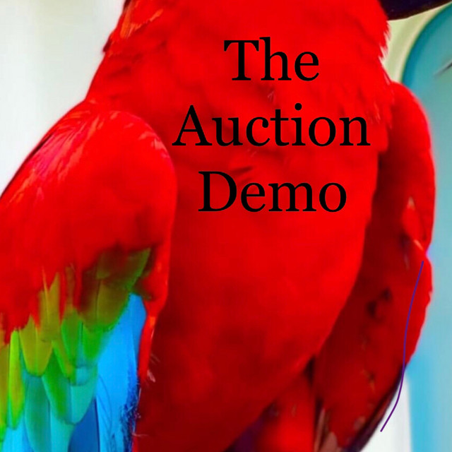 The Auction (Demo) cover