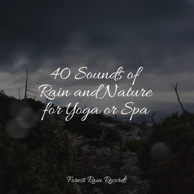 40 Sounds of Rain and Nature for Yoga or Spa - Album by Relaxing Sleep ...