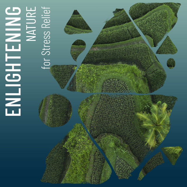 Enlightening Nature for Stress Relief - Album by Nature Sounds Nature ...