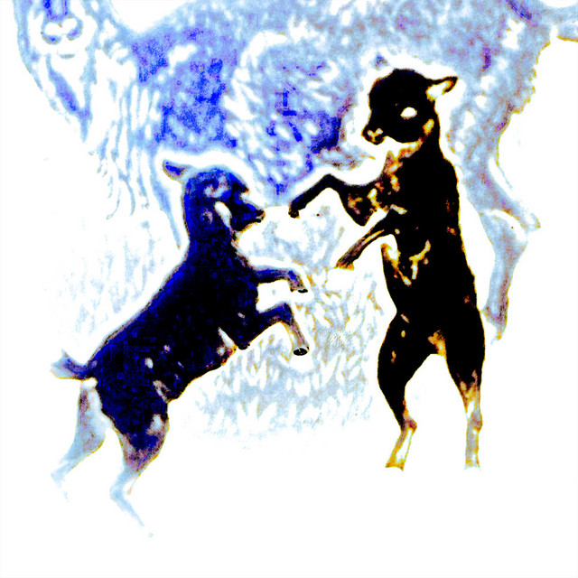 VOR