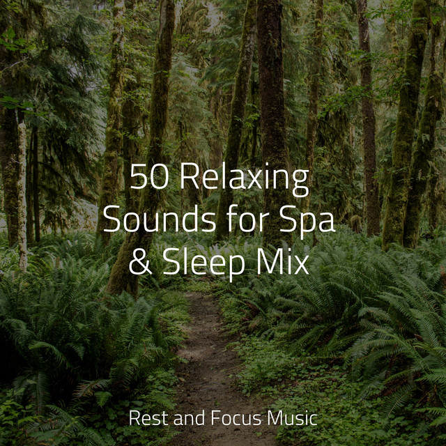 50 Relaxing Sounds for Spa & Sleep Mix - Album by Chillout Lounge | Spotify