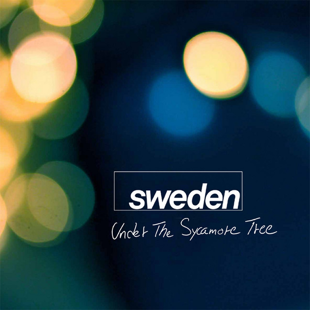 Under the Sycamore Tree cover art