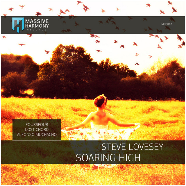 Soaring High cover art