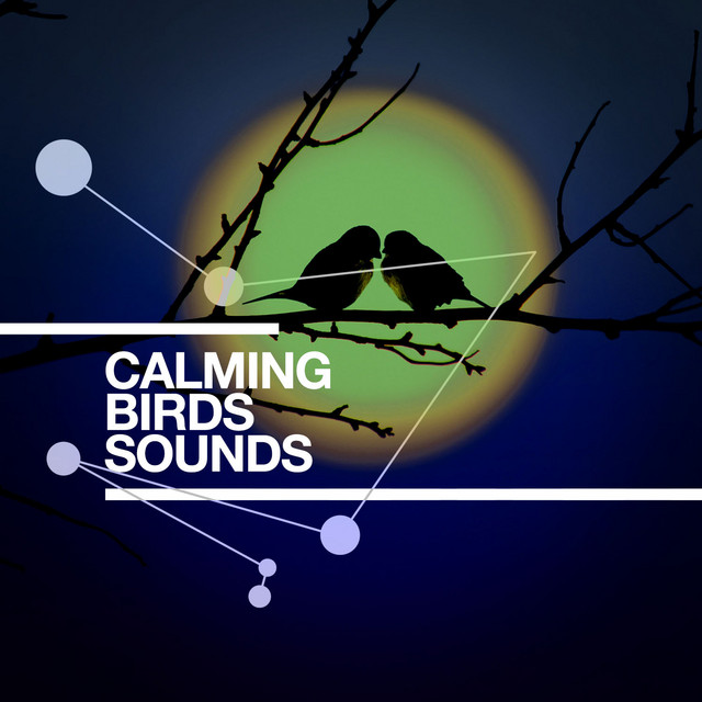Calming Birds Sounds - Compilation by Calm Bird Sounds | Spotify