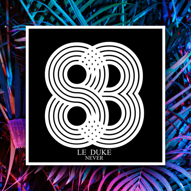 Обкладинка: Never — Le Duke