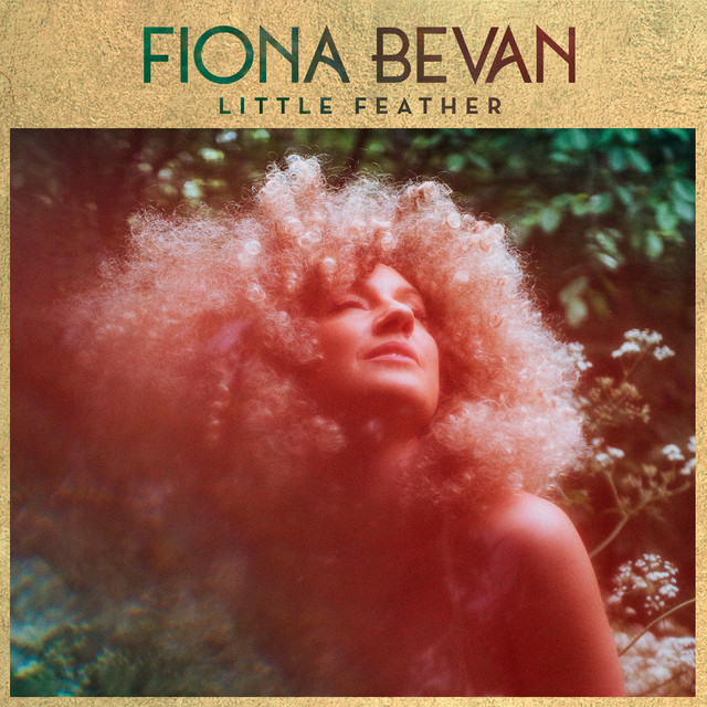 Little Feather cover art
