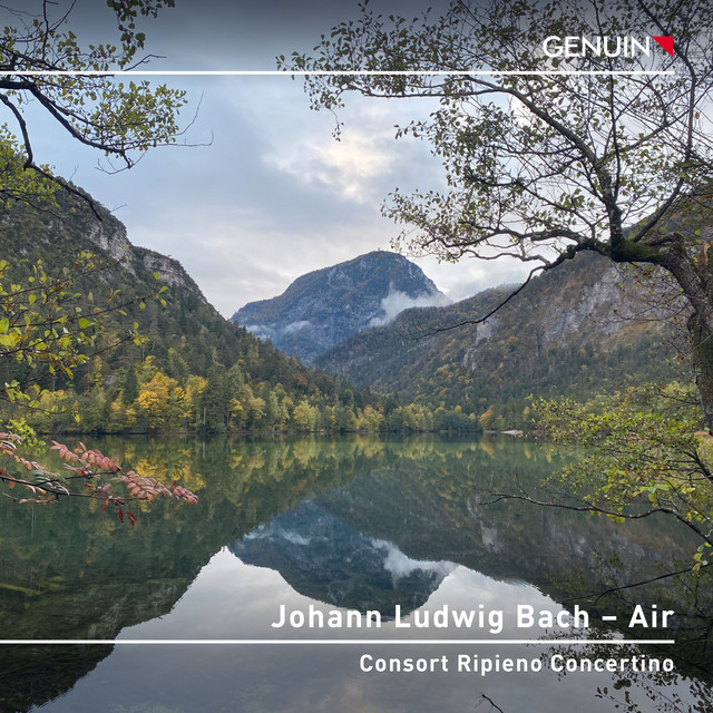 Suite in G Major, JLB 20 (Arr. for Chamber Ensemble by Anonymous): II. Air