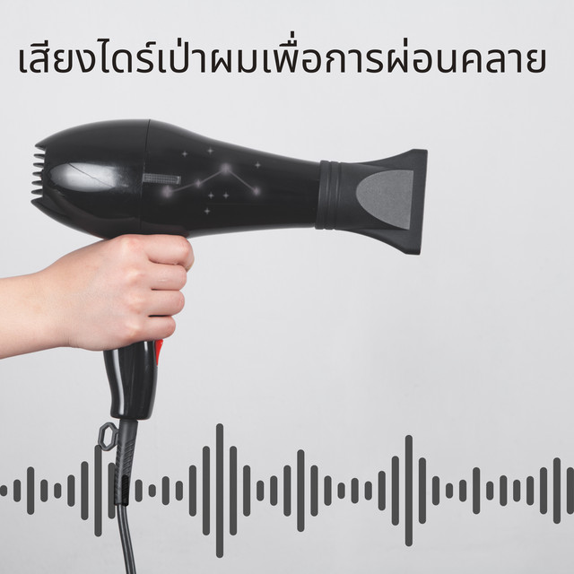 BS เครื่องเป่าผม