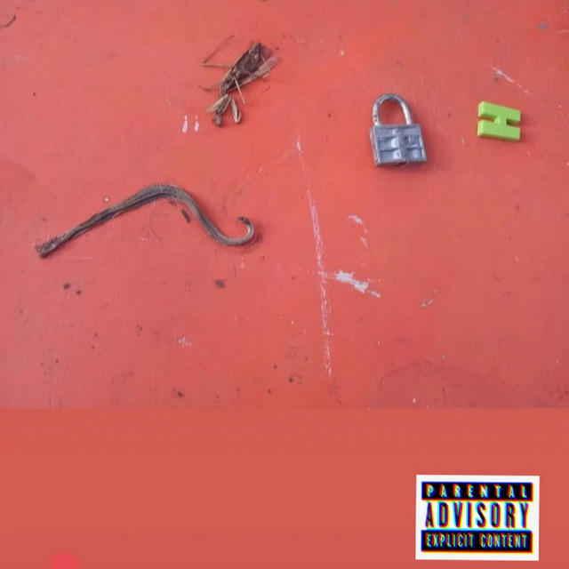 Anything cover art