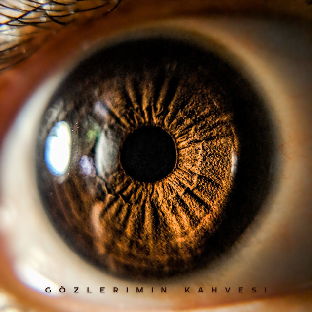 Gözlerimin kahvesi album image
