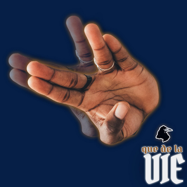 Cover du titre Que de la Vie