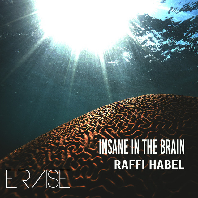 Insane In the Brain album art