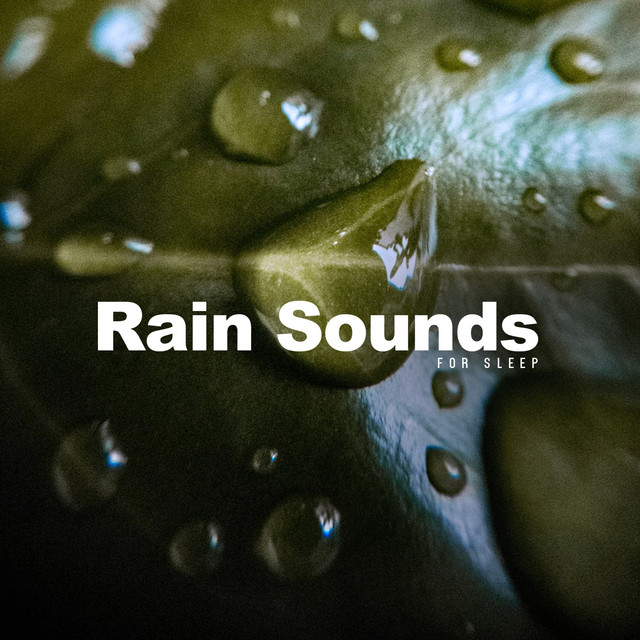 Rain Sounds For Sleep cover art