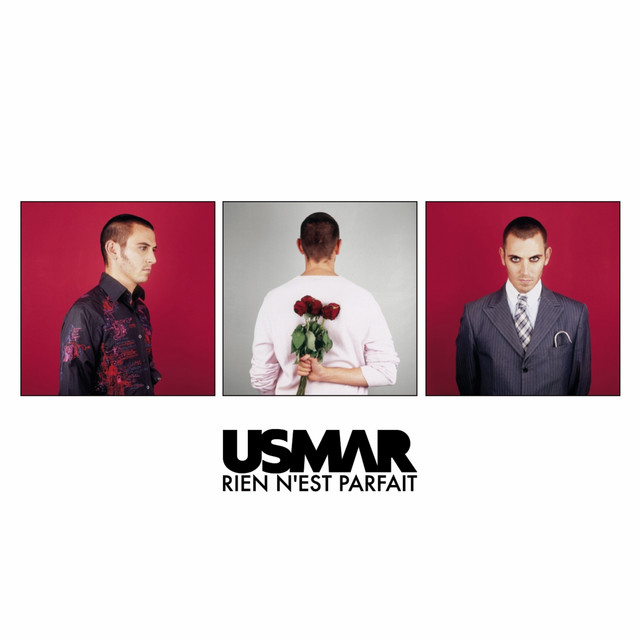 Rien N'est Parfait cover art