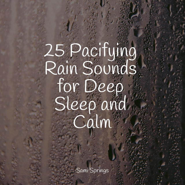 25 Pacifying Rain Sounds for Deep Sleep and Calm - Album by Nursery ...