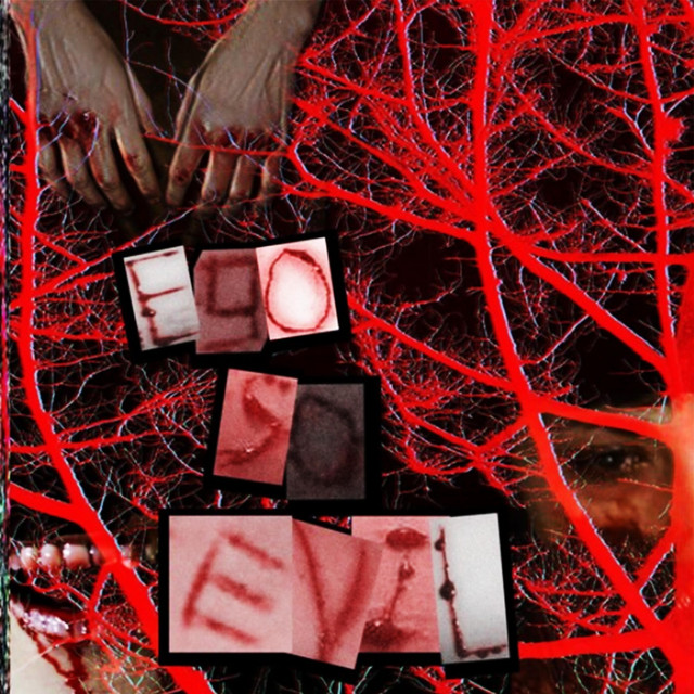 ego so evil 2018 (songs before the raid) cover art