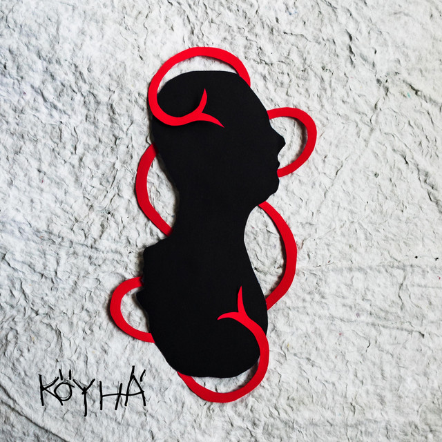 Tyhmää Paskaa cover art