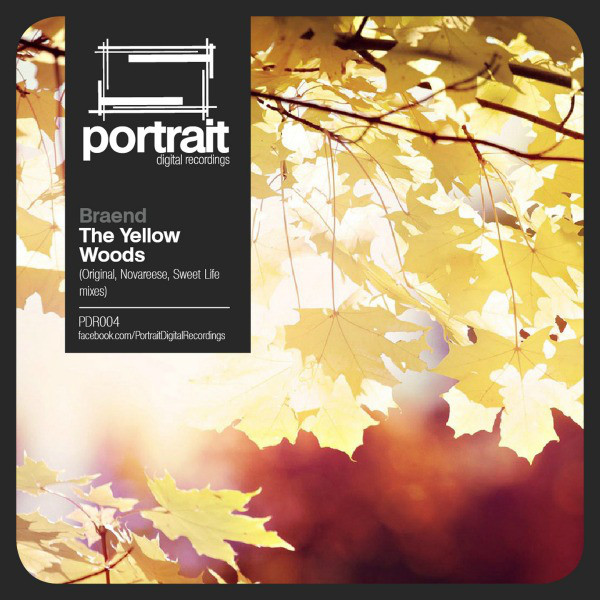 The Yellow Woods - Original Mix cover art