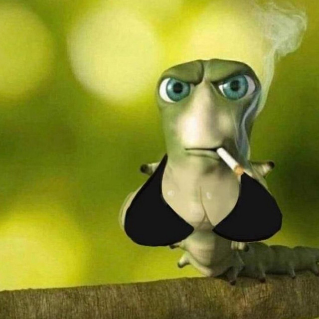 Quien Le Mete Como Yo?