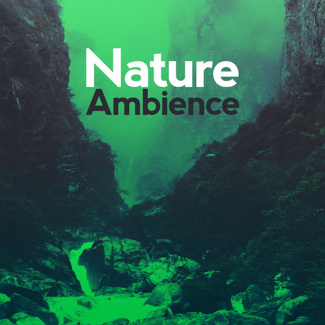 Nature Ambience