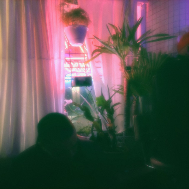 recluse cover art