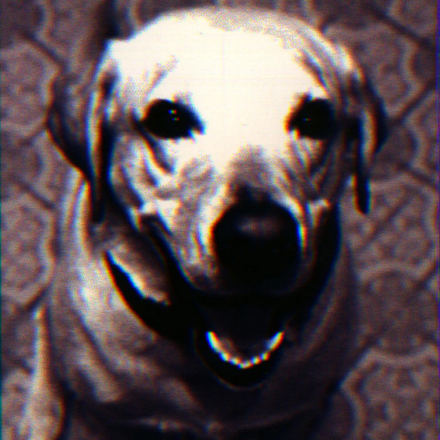 Fazbee cover art
