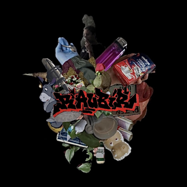 RAUBÍŘ cover art
