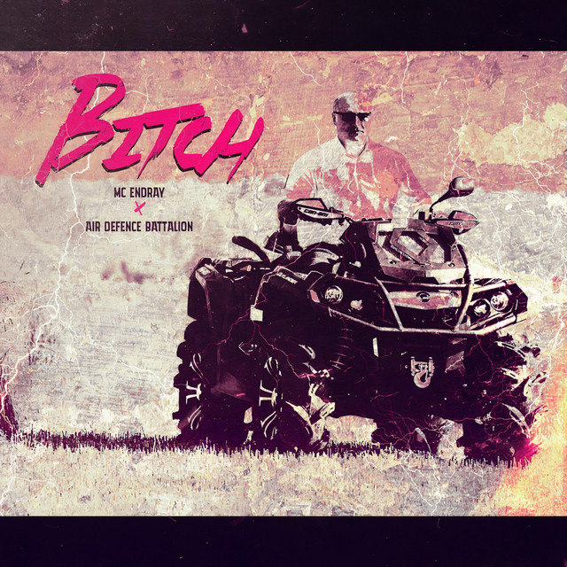 Bitch cover art