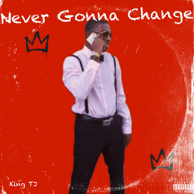 Never Gonna Change cover art
